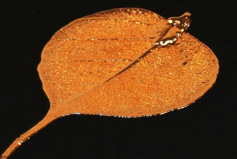 Chuyện đất Phật